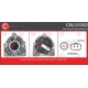 CAL15102