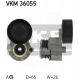 VKM 36055
