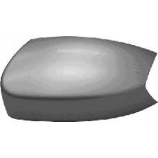 1869843 VAN WEZEL Покрытие, внешнее зеркало