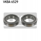 VKBA 6529