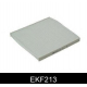 EKF213