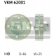 VKM 62001