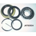 J4702034 NIPPARTS Комплект подшипника ступицы колеса