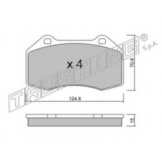 667.0 TRUSTING Комплект тормозных колодок, дисковый тормоз