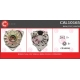 CAL10165<br />CASCO