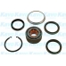 WBK-9009 KAVO PARTS Комплект подшипника ступицы колеса