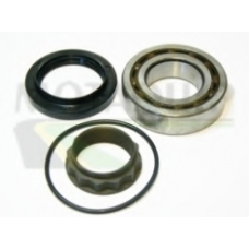 VBK458 MOTAQUIP Комплект подшипника ступицы колеса