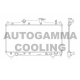 103534<br />AUTOGAMMA