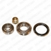 BK334 DELPHI Комплект подшипника ступицы колеса