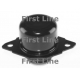 FEM3105<br />FIRST LINE