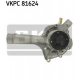 VKPC 81624