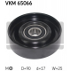 VKM 65066