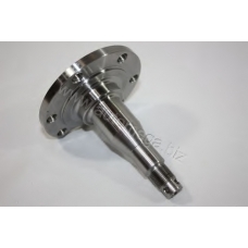 3050101178D0C AUTOMEGA Ступица колеса