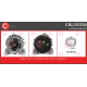 CAL10316<br />CASCO