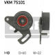 VKM 75101