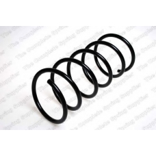 CS3069 ROC Пружина ходовой части