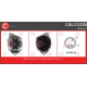 CAL15228