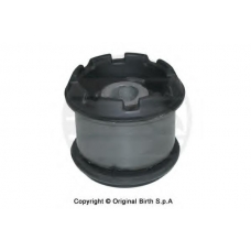 50528 BIRTH Подвеска, двигатель