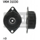 VKM 31030