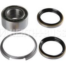 J4702015 NIPPARTS Комплект подшипника ступицы колеса