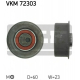 VKM 72303