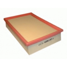 AP060 FILTRON Воздушный фильтр