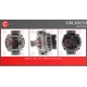 CAL10133GS