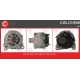 CAL15458