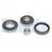 050712B BENDIX Комплект подшипника ступицы колеса