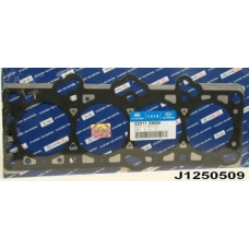 J1250509 NIPPARTS Прокладка, головка цилиндра