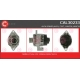 CAL30233<br />CASCO