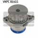 VKPC 81411
