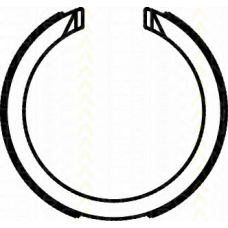 8100 21003 TRISCAN Комплект тормозных колодок, стояночная тормозная с