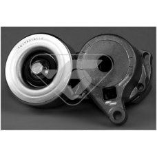 T0423 HUTCHINSON Натяжной ролик, поликлиновой  ремень