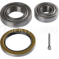 J4702008 NIPPARTS Комплект подшипника ступицы колеса