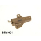 BTM-001