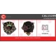 CAL15199