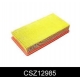 CSZ12985