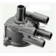 C509-01<br />ASHUKI