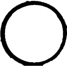 71-36066-00 REINZ Прокладка, впускной коллектор