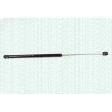8710 23202 TRIDON Gas spring rear