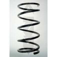 55536 SPIDAN Пружина ходовой части