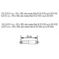 004364 RECORD FRANCE Амортизатор