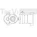 TA1465 TREVI AUTOMOTIVE Натяжная планка, поликлиновой ремень