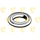 166010<br />UNIGOM