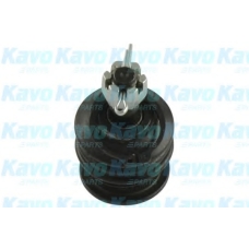 SBJ-9065 KAVO PARTS Несущий / направляющий шарнир