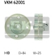 VKM 62001