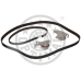 SK-1236 OPTIMAL Комплект ремня грм