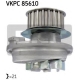 VKPC 85610