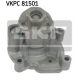 VKPC 81501